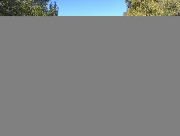 Hilton Head Condo 1009372