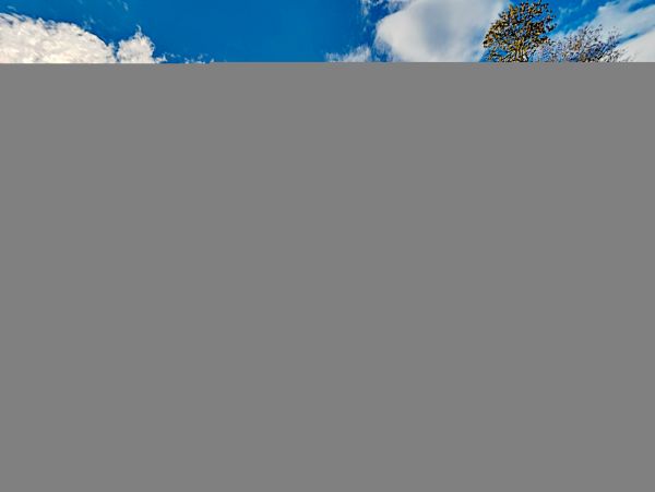 Hilton Head Condo 1009372
