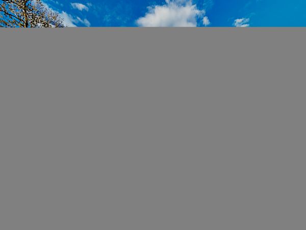 Hilton Head Condo 1009372