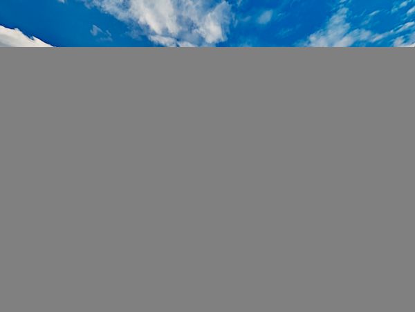 Hilton Head Condo 1009372