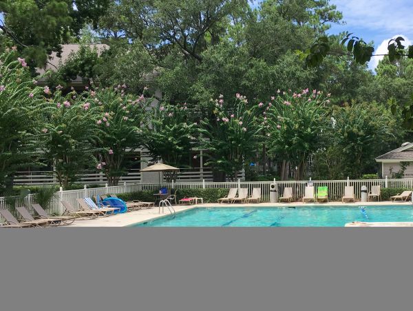 Hilton Head Condo 1009373