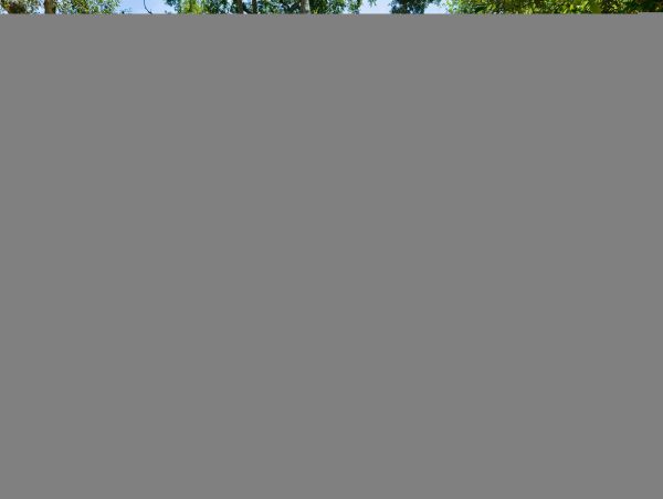 Hilton Head Condo 1009373