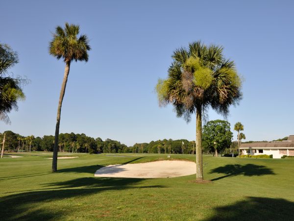 Hilton Head Condo 1009373