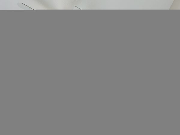 Hilton Head Condo 1009374