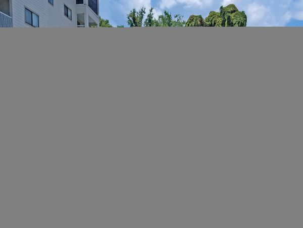 Hilton Head Condo 1009377
