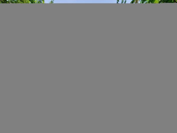 Hilton Head Condo 1009377