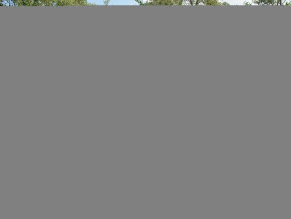 Hilton Head Home 1009380