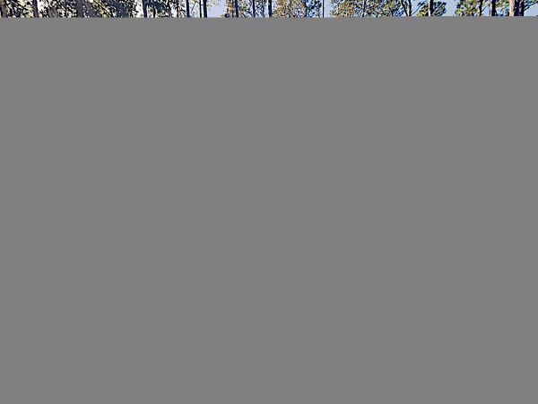 Hilton Head Condo 1009381