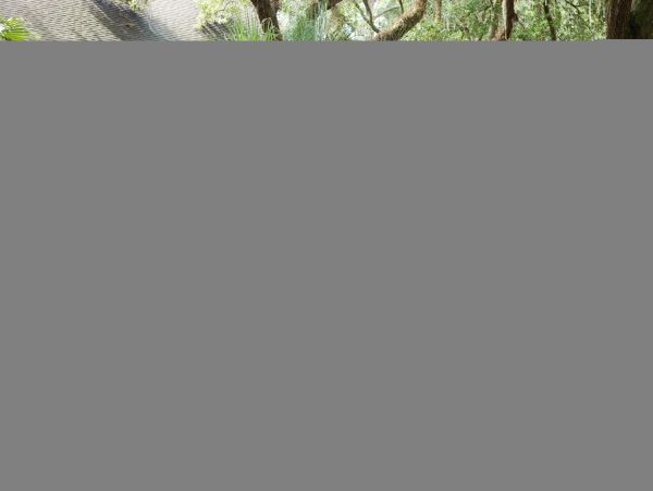 Hilton Head Condo 1009381