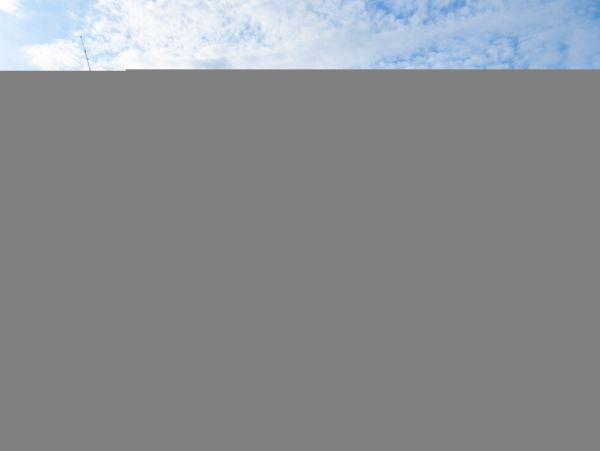 Hilton Head Condo 1009381