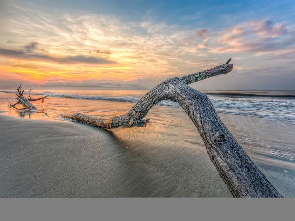 Hilton Head Condo 1009381