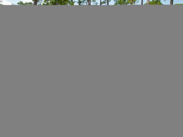 Hilton Head Condo 1009382