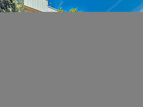 Hilton Head Condo 1009382