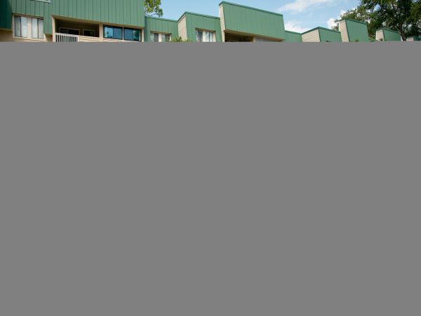 Hilton Head Condo 1009382