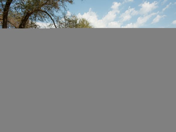 Hilton Head Condo 1009382
