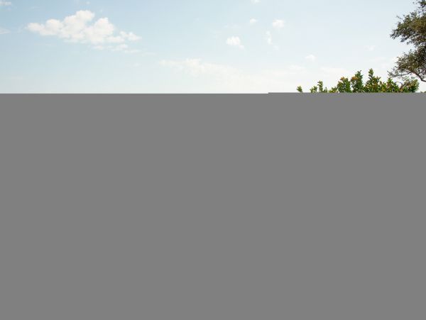 Hilton Head Condo 1009382