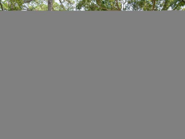 Hilton Head Condo 1009382