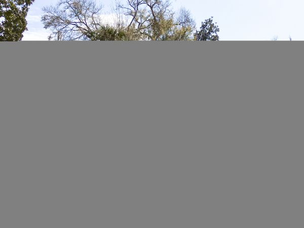 Hilton Head Condo 1009384