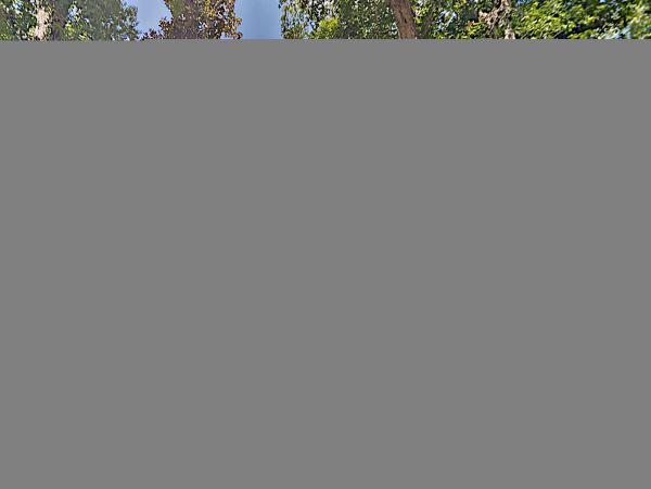 Hilton Head Condo 1009384