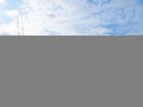 Hilton Head Condo 1009384