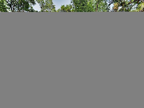 Hilton Head Home 1009385