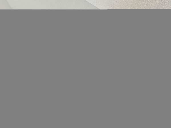 Hilton Head Condo 1009387