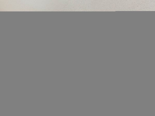 Hilton Head Condo 1009387