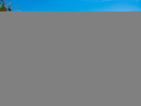 Hilton Head Condo 1009387