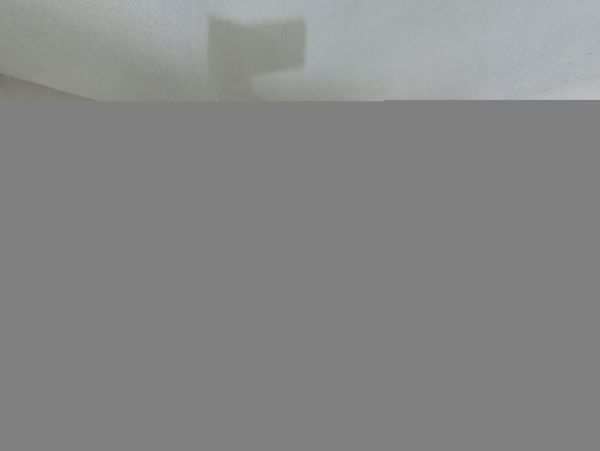Hilton Head Condo 1009390