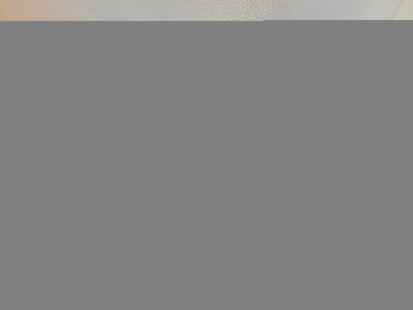 Hilton Head Condo 1009391