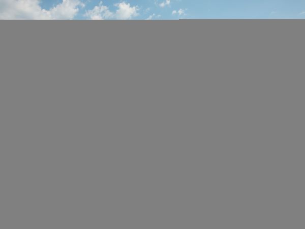 Hilton Head Condo 1009391