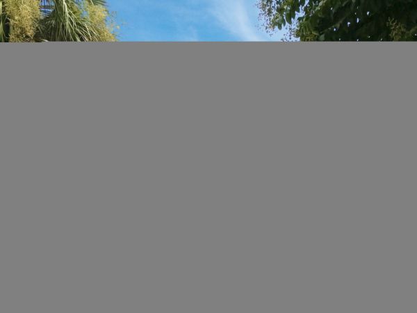 Hilton Head Condo 1009392