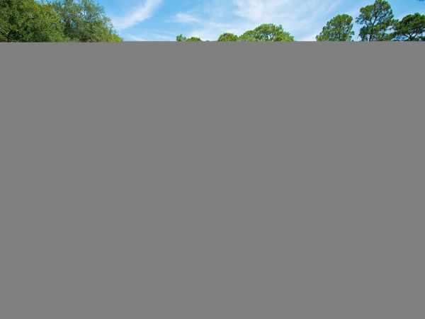 Hilton Head Condo 1009392