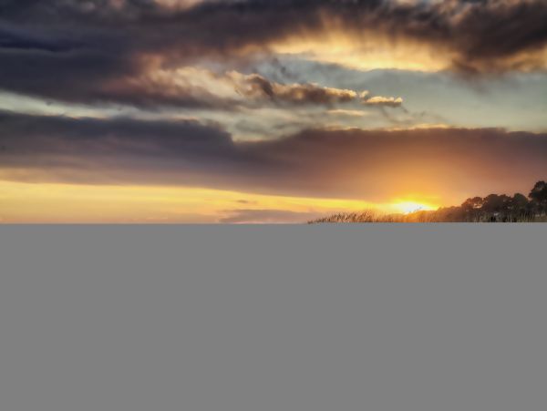 Hilton Head Condo 1009392