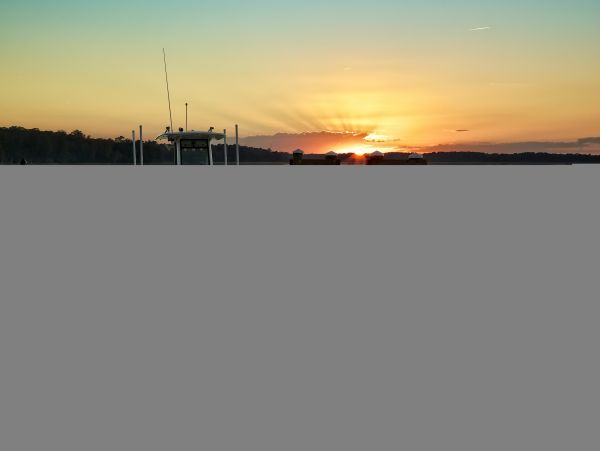 Hilton Head Condo 1009392