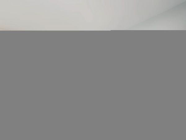 Hilton Head Condo 1009394
