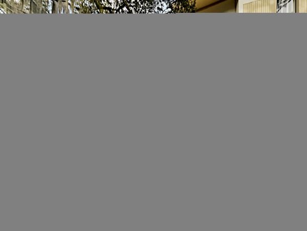 Hilton Head Condo 1009394