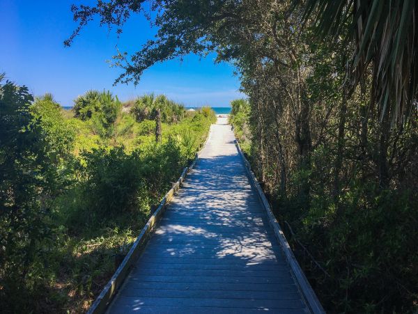 Hilton Head Condo 1009394