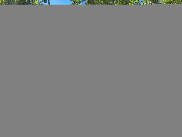 Hilton Head Condo 1009394