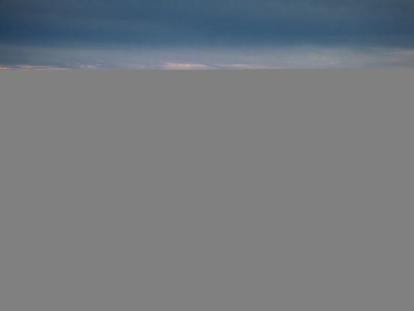 Hilton Head Condo 1009394