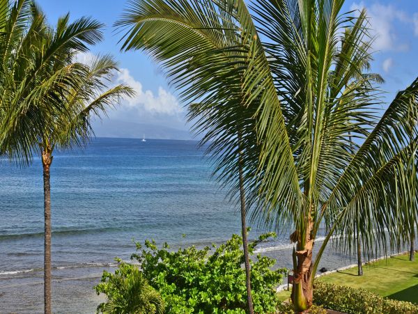 Oceanfront Kaanapali Luxury Vacation Condo Ocean Views