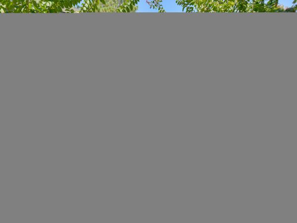 Hilton Head Condo 1009398