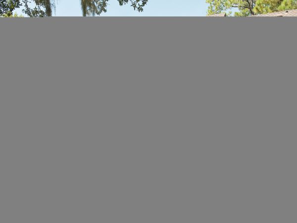 Hilton Head Condo 1009398