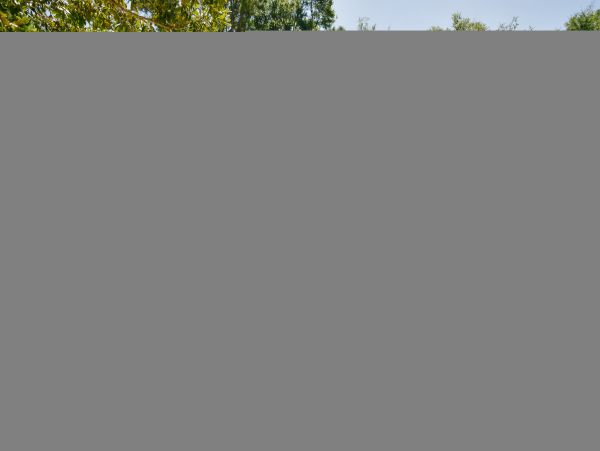Hilton Head Condo 1009398
