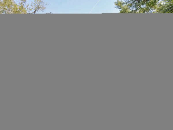 Hilton Head Condo 1009398