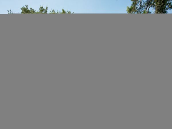 Hilton Head Condo 1009398