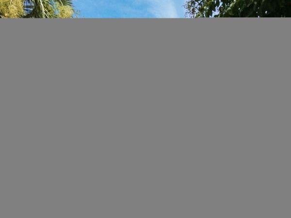Hilton Head Condo 1009400