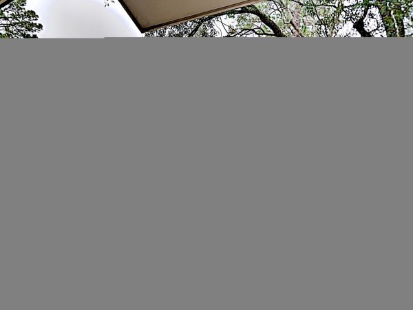 Hilton Head Condo 1009400