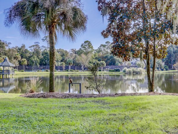Hilton Head Condo 1009403