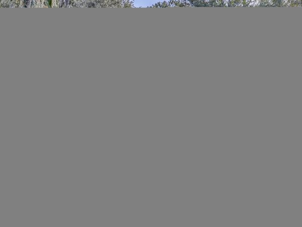 Hilton Head Condo 1009403